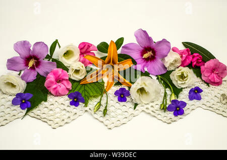 Weißer Hintergrund mit einem gestreiften Rand, in der Mitte gelegen, bedeckt mit Köpfen von Blumen lila Hibiskus, weiße Lisianthus, Himbeere oleand Stockfoto