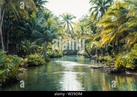 Berühmte instagrammed schiefen Palm Tree Maasin Fluss in Siargao, Philippinen - Menschen Spaß schwingen auf eine Kokospalme in den Dschungel Stockfoto