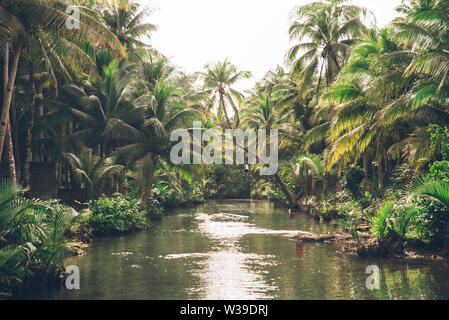 Berühmte instagrammed schiefen Palm Tree Maasin Fluss in Siargao, Philippinen - Menschen Spaß schwingen auf eine Kokospalme in den Dschungel Stockfoto