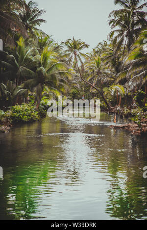 Berühmte instagrammed schiefen Palm Tree Maasin Fluss in Siargao, Philippinen - Menschen Spaß schwingen auf eine Kokospalme in den Dschungel Stockfoto