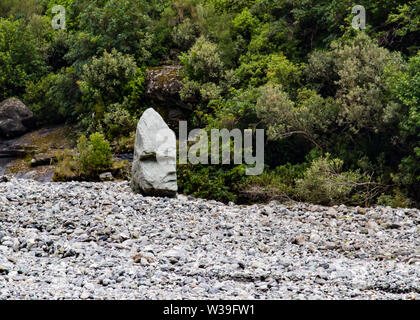 Rocky Folien in einer bergigen Gegend am Fox Glacier, Neuseeland Stockfoto