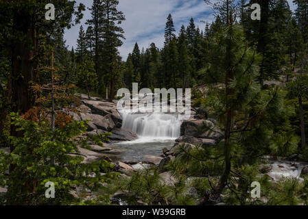 Untere Bassi fällt im Eldorado National Forest, Kalifornien, USA, am Anfang des Sommers von 2019, llängs Exposition mit dem Nadelholz t Stockfoto