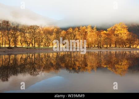 Schottisches Loch am frühen Morgen. Ein sehr ruhiger Herbsttag am Loch Voil, in der Nähe von Balquhidder im Loch Lomond and Trossachs National Park, Schottland. Stockfoto