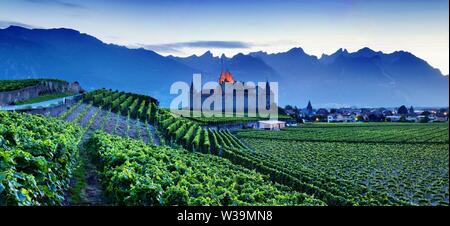 Berühmte Burg Chateau d'Aigle im Kanton Waadt, Schweiz. Das Schloss in Aigle blickt auf die umliegenden Weinberge und die Alpen. Sommersaison, Genf Stockfoto