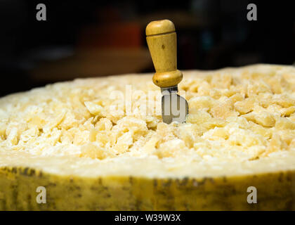 Gesamte Parmesan mit Griff Käsemesser, Parmesan mit Messer, Nahaufnahme Stockfoto