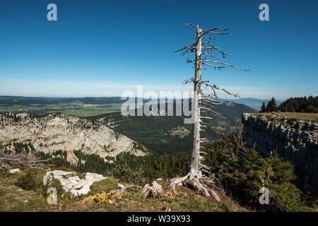 Creux du Van Stockfoto