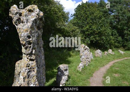 Des Königs Männer Steinkreis, der Rollright Stones, Stein, große Rollright, Chipping Norton, Oxfordshire, UK Stockfoto