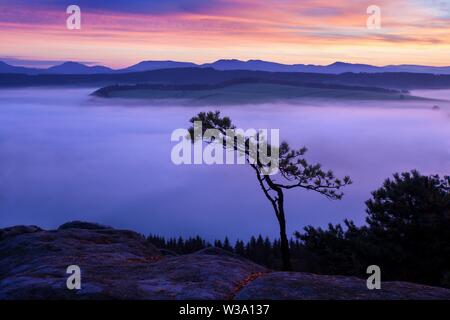 Sonnenaufgang Über Der Nebellandschaft. Malerische Aussicht Auf Den Nebligen Morgenhimmel Mit Aufgehender Sonne Über Dem Nebelwald. Mittelsommer Natur Europas. Fantastische Berge Stockfoto