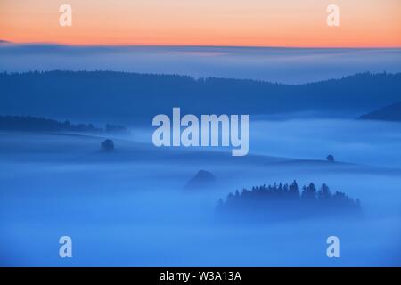 Sonnenaufgang Über Der Nebellandschaft. Malerische Aussicht Auf Den Nebligen Morgenhimmel Mit Aufgehender Sonne Über Dem Nebelwald. Mittelsommer Natur Europas. Fantastische Berge Stockfoto