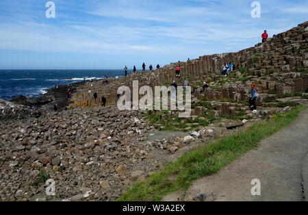 Besucher auf der Oberseite des Schwarzen sechseckigen Basaltsäulen Verriegelung auf Causeway Coastal Weg des Riesen, County Antrim, Nordirland, Großbritannien. Stockfoto