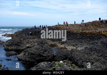 Besucher auf der Oberseite des Schwarzen sechseckigen Basaltsäulen Verriegelung auf Causeway Coastal Weg des Riesen, County Antrim, Nordirland, Großbritannien. Stockfoto