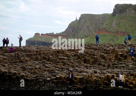 Besucher auf der Oberseite des Schwarzen sechseckigen Basaltsäulen Verriegelung auf Causeway Coastal Weg des Riesen, County Antrim, Nordirland, Großbritannien. Stockfoto