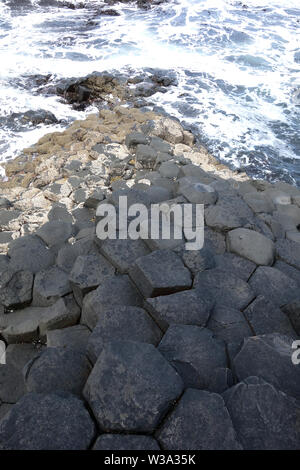 Die Oberseiten der Schwarzen sechseckigen Basaltsäulen Verriegelung auf Causeway Coastal Weg des Riesen, County Antrim, Nordirland, Großbritannien. Stockfoto