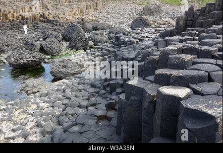 Die Oberseiten der Schwarzen sechseckigen Basaltsäulen Verriegelung auf Causeway Coastal Weg des Riesen, County Antrim, Nordirland, Großbritannien. Stockfoto