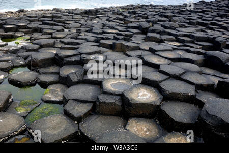 Die Oberseiten der Schwarzen sechseckigen Basaltsäulen Verriegelung auf Causeway Coastal Weg des Riesen, County Antrim, Nordirland, Großbritannien. Stockfoto