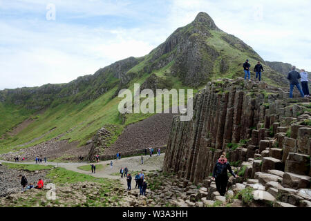 Besucher auf der Oberseite des Schwarzen sechseckigen Basaltsäulen Verriegelung auf Causeway Coastal Weg des Riesen, County Antrim, Nordirland, Großbritannien. Stockfoto