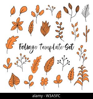Laub doodle Schablone, Laub Hand gezeichnet Vektor, Natur botanische Blume Sammlung Stock Vektor