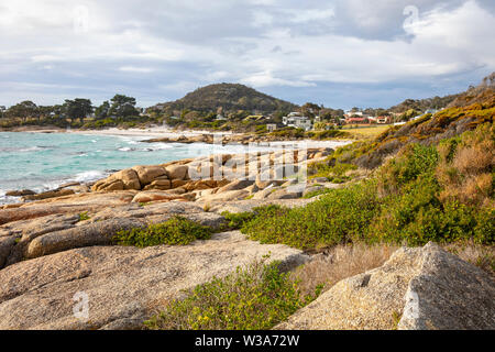 Bicheno Tasmanien, die Küste und die felsige Küste bei Bicheno eine kleine Stadt an der nordöstlichen Küste von Tasmanien, Australien Stockfoto