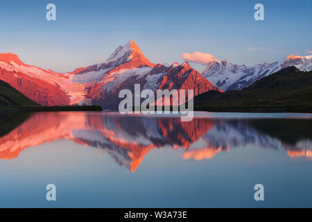 Schönes Abendpanorama vom Bachalp See / Bachalpsee, Schweiz. Malerischer Sommeruntergang in schweizer Alpen, Grindelwald, Berner Oberland, Europ Stockfoto