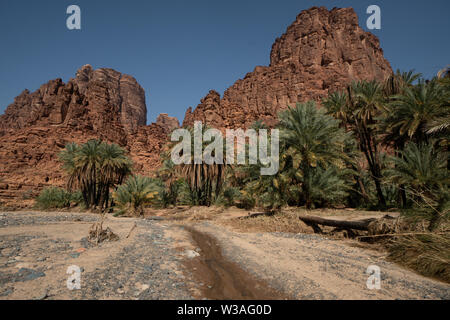 Rock und Oasis Szenen in Wadi Disah in Tabuk Region, Saudi Arabien Stockfoto