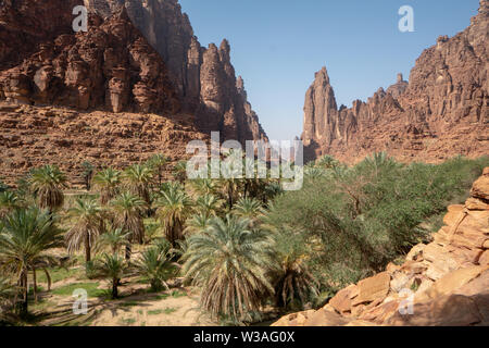 Rock und Oasis Szenen in Wadi Disah in Tabuk Region, Saudi Arabien Stockfoto