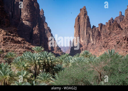 Rock und Oasis Szenen in Wadi Disah in Tabuk Region, Saudi Arabien Stockfoto