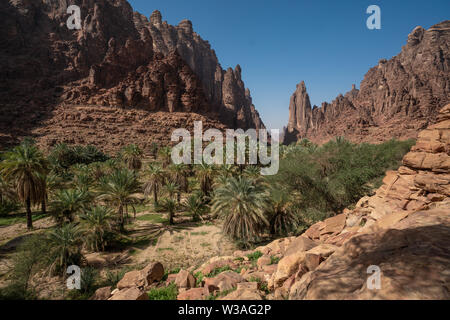 Rock und Oasis Szenen in Wadi Disah in Tabuk Region, Saudi Arabien Stockfoto