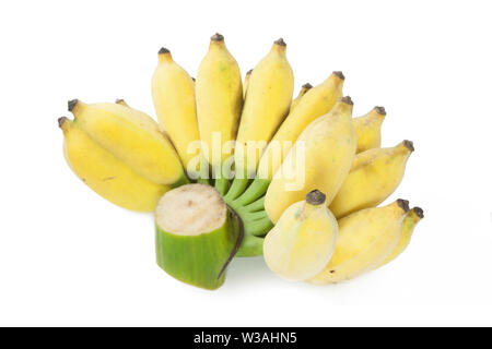 Kultiviert Banane isoliert auf weißem Stockfoto