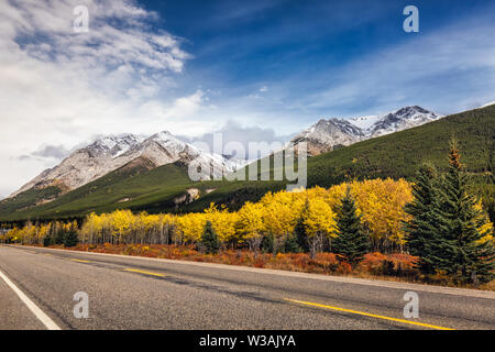 Gelbe Lärchen und schneebedeckten Bergen in der Nähe von Straße in Kananaskis National Park, Kanada. Stockfoto