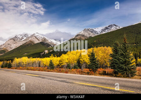 Gelbe Lärchen und schneebedeckten Bergen in der Nähe von Straße in Kananaskis National Park, Kanada. Stockfoto