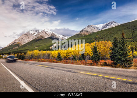 Gelbe Lärchen und schneebedeckten Bergen in der Nähe von Straße in Kananaskis National Park, Kanada. Stockfoto