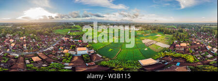 Viele Villen mit braun-orange Schindeldächer zwischen tropischen Bäumen am Himmel Hintergrund in Ubud auf Bali. Sonne scheint auf Sie. Antenne horizontal Stockfoto