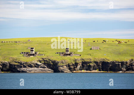 Zweiten Weltkrieg bauten auf hoxa Head, South Ronaldsay, Orkney Inseln, Schottland, Großbritannien. Stockfoto