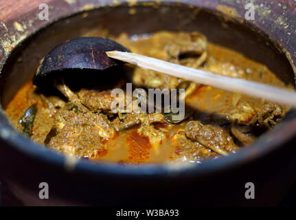 Gulai Bebek, Curry ente Traditionelle indonesische Küche Stockfoto