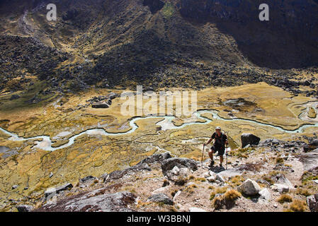 Die schöne Serpentine Waraco Fluss auf der Cordillera Real Traverse, Bolivien Stockfoto