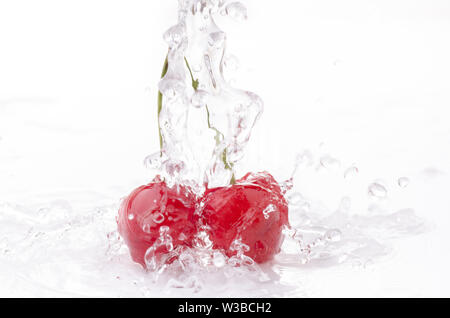 Eine Welle von klarem Wasser fällt auf Kirschen auf weißem Hintergrund Stockfoto