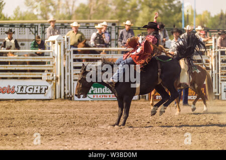 Rodeo Ereignis in Cochrane, Alberta, Kanada Stockfoto