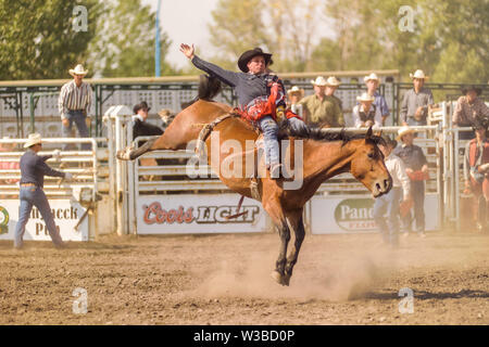 Rodeo Ereignis in Cochrane, Alberta, Kanada Stockfoto