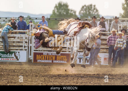 Rodeo Ereignis in Cochrane, Alberta, Kanada Stockfoto