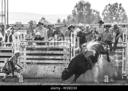 Rodeo Ereignis in Cochrane, Alberta, Kanada Stockfoto