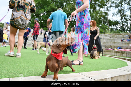 Brighton UK 14. Juli 2019 - Brei eine kleine Tänzerin nimmt Teil an der Uraufführung von der Doggy Pop Bingo Disco Show im Brighton Open Air Theater heute statt. Foto: Simon Dack/Alamy leben Nachrichten Stockfoto