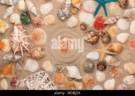 Muschel in der Mitte eines Kreises aus Sand, Muscheln und Sterne. Ansicht von oben Stockfoto