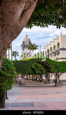 Hauptstraße im Zentrum von Loreto in Baja California mit einem üppigen, grünen Gasse tree Stockfoto