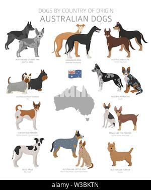 Hunde nach Herkunftsland. Australischen Hunderassen. Hirten, Jagd, Hüten, Spielzeug, Arbeiten und Service Hunde eingestellt. Vector Illustration Stock Vektor