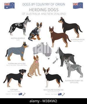 Hunde nach Herkunftsland. Australischen Hunderassen. Hirten, Jagd, Hüten, Spielzeug, Arbeiten und Service Hunde eingestellt. Vector Illustration Stock Vektor