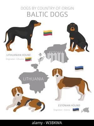 Hunde nach Herkunftsland. Ostsee Hunderassen. Hirten, Jagd, Hüten, Spielzeug, Arbeiten und Service Hunde eingestellt. Vector Illustration Stock Vektor