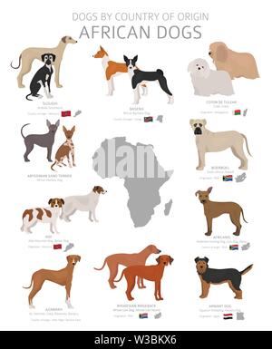 Hunde nach Herkunftsland. Afrikanische Hunderassen. Hirten, Jagd, Hüten, Spielzeug, Arbeiten und Service Hunde eingestellt. Vector Illustration Stock Vektor