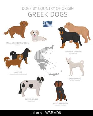 Hunde nach Herkunftsland. Griechische Hunderassen. Hirten, Jagd, Hüten, Spielzeug, Arbeiten und Service Hunde eingestellt. Vector Illustration Stock Vektor