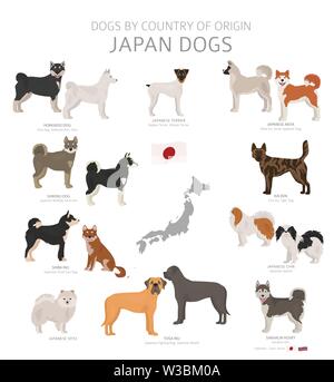 Hunde nach Herkunftsland. Die japanischen Hunderassen. Hirten, Jagd, Hüten, Spielzeug, Arbeiten und Service Hunde eingestellt. Vector Illustration Stock Vektor