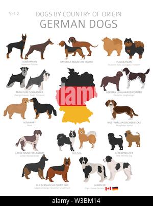 Hunde nach Herkunftsland. Deutsche Hunderassen. Hirten, Jagd, Hüten, Spielzeug, Arbeiten und Service Hunde eingestellt. Vector Illustration Stock Vektor